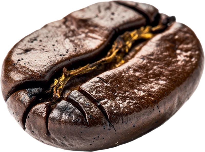 Grano de café tostado en macro, con una veta dorada en la hendidura.